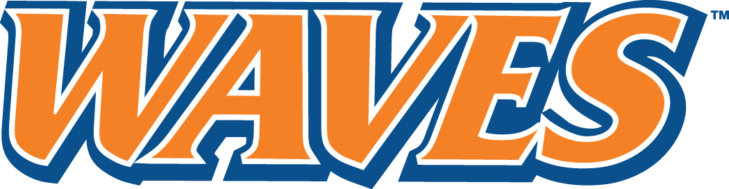 Pepperdine Waves 2004-Pres Wordmark Logo diy iron on heat transfer